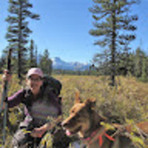 Meet your Posher, Carol